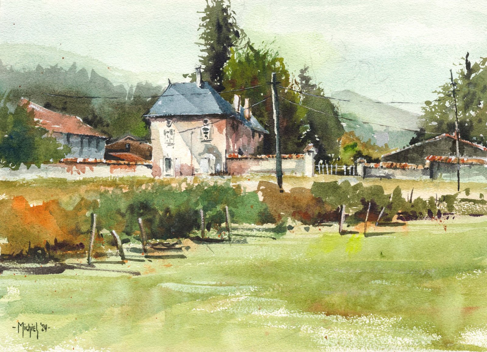 Wijngaardlicht in Frankrijk